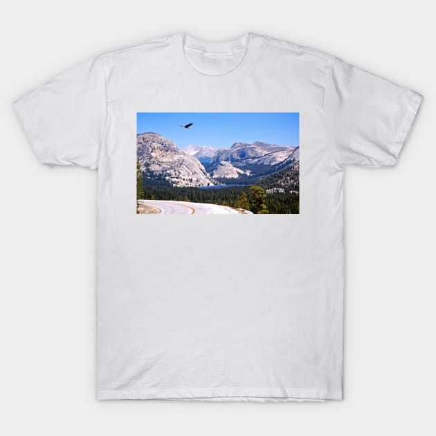 Tenaya Lake Yosemite Park T-Shirt by Burtney